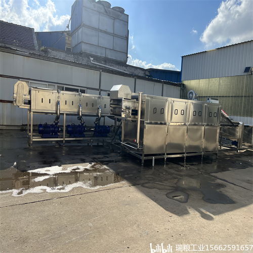 一站式解決大姜生產難題，選擇瑞糧食品工業裝備大姜清洗機